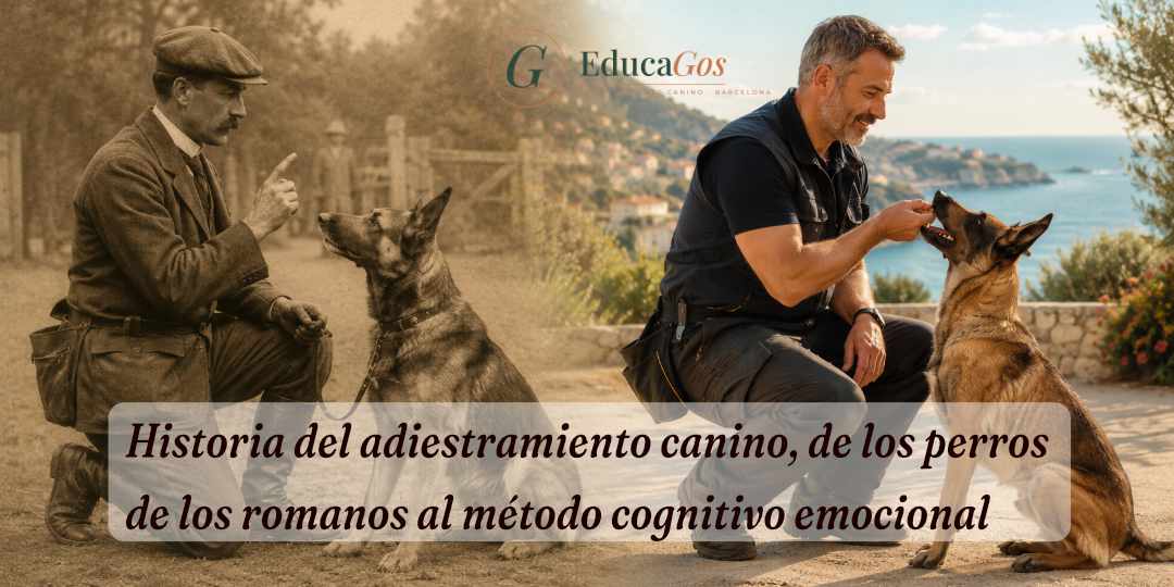 Historia del adiestramiento canino, de los métodos antiguos al adiestramiento cognitivo emocional