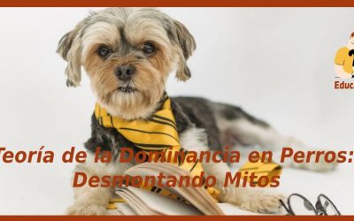 Teoría de la Dominancia en Perros: Desmontando Mitos