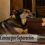 Ansiedad canina por separación Como tratarla