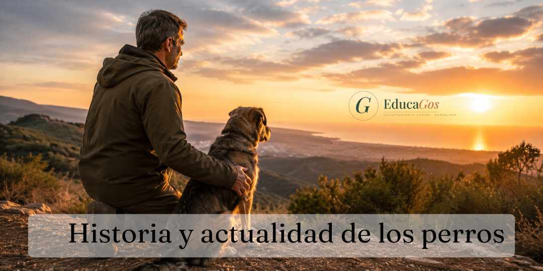 Historia y actualidad de los perros, del lobo salvaje al compañero que hoy vive en tu casa