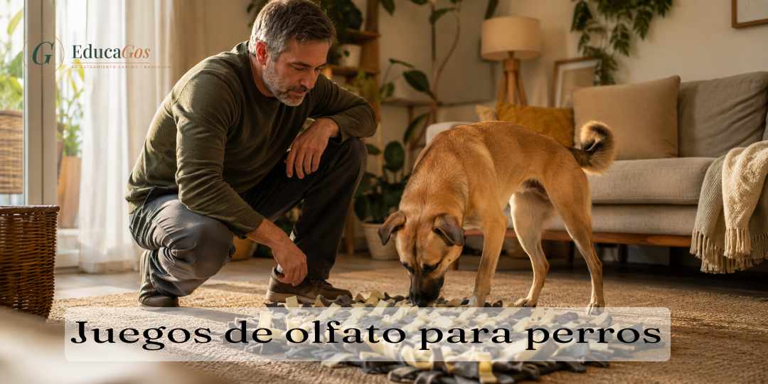Adiestrador canino guiando un juego de olfato con alfombra olfativa para un perro en casa