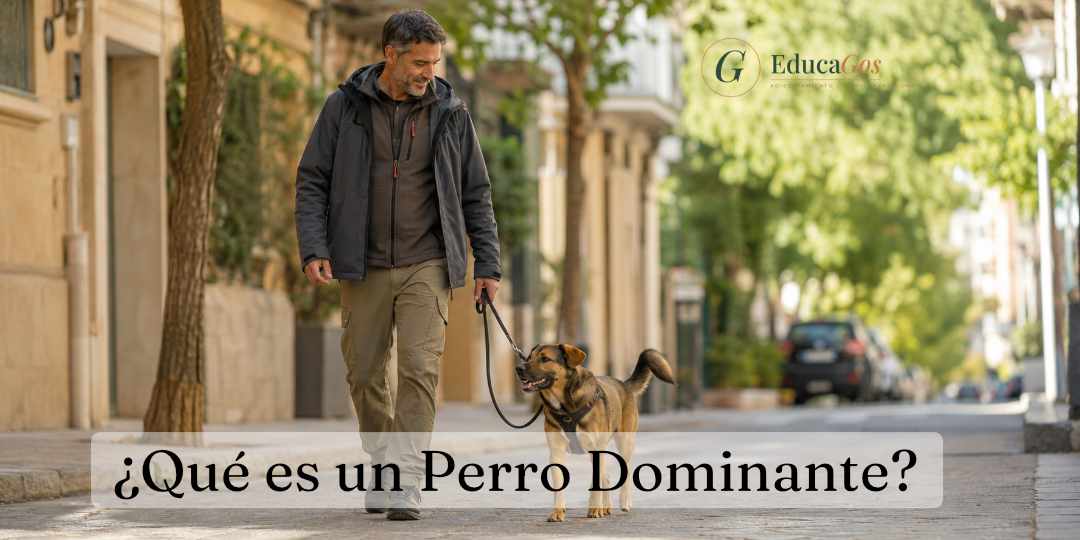 ¿Qué es un perro dominante? Cómo identificarlo sin caer en el mito