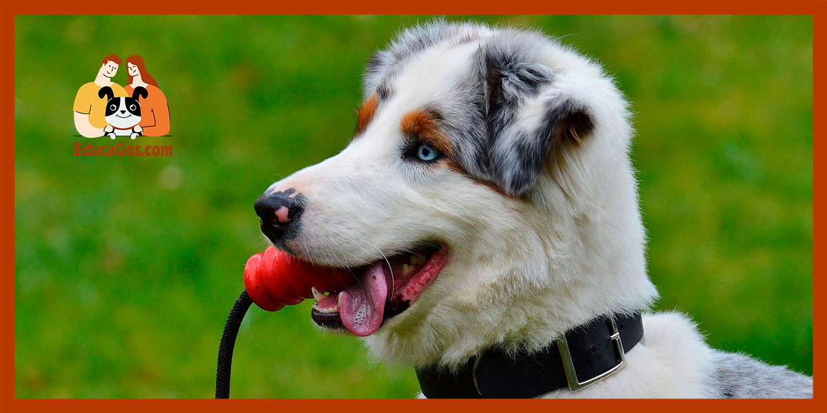 Disfruta de paseos tranquilos desde el primer día