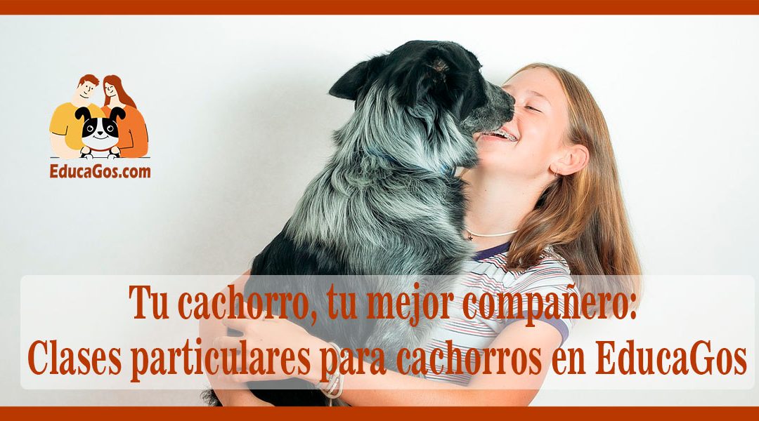 Tu cachorro, tu mejor compañero Clases particulares para cachorros en EducaGos