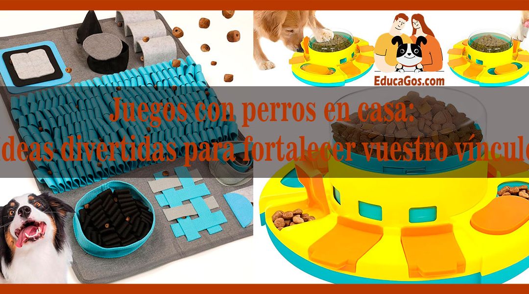 Juegos con perros en casa: Ideas divertidas para fortalecer vuestro vínculo