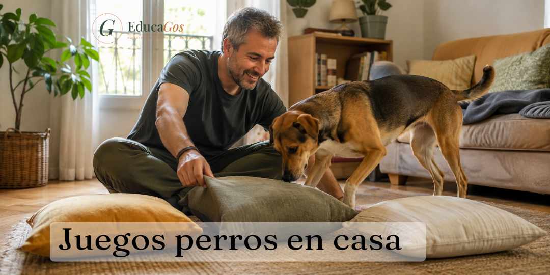 Educador canino jugando con un perro a esconder premios bajo cojines en el salón de casa