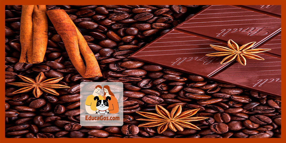 evita intoxicaciones y cuida su salud