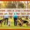 Adiestramiento Canino ¿Grupo o Individual? Una Guía Completa para Elegir la Mejor Opción para Tu Perro