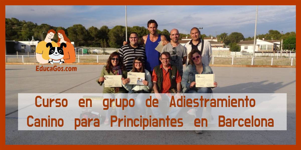 Curso en Grupo de Obediencia Básica Canina en Barcelona
