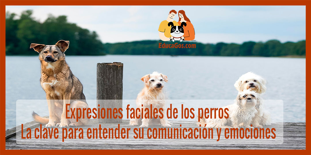 Expresiones faciales de los perros