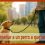 ¿Cómo enseñar a un perro a que se siente? Guía práctica de adiestramiento canino en Barcelona
