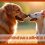 ¿Cuál es la edad ideal para adiestrar un perro?
