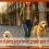 ¿Qué es mejor, el perro pequeño o el grande para la ciudad?