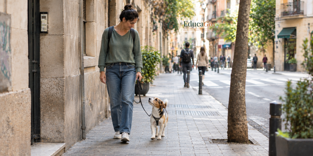 mujer paseando a su perro con la correa floja en una acera estrecha de Barcelona mujer paseando a su perro con la correa floja en una acera estrecha de Barcelona