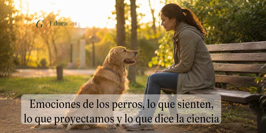 Emociones de los perros, lo que sienten, lo que proyectamos y lo que la ciencia nos revela