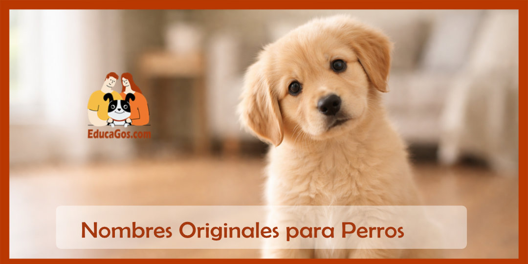 Nombres Originales para Perros Guía Completa para Elegir el Mejor Nombre para tu Cachorro