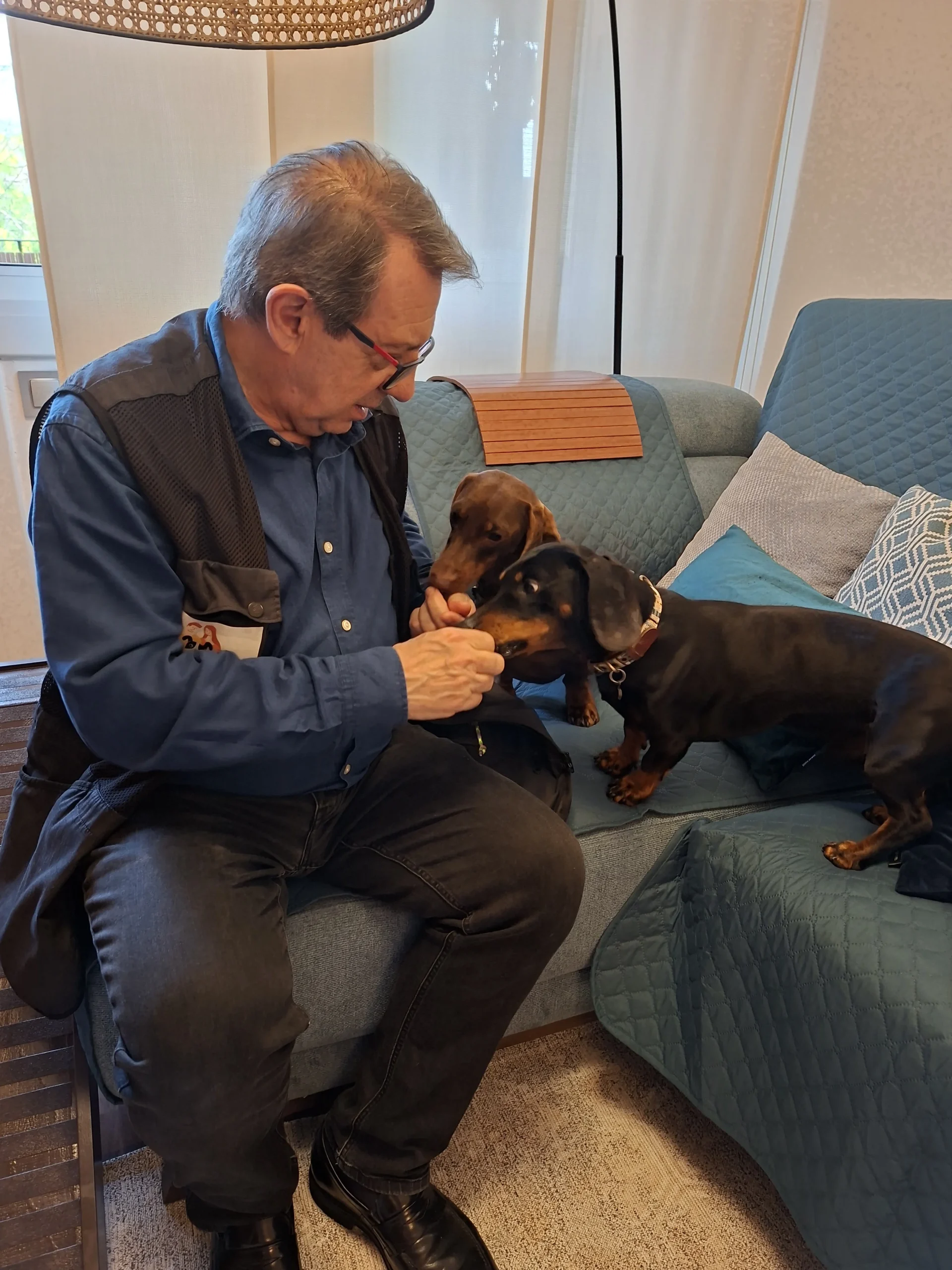 Adiestrador canino trabajando a domicilio en Barcelona con dos teckels sobre el sofá durante una sesión de modificación de conducta