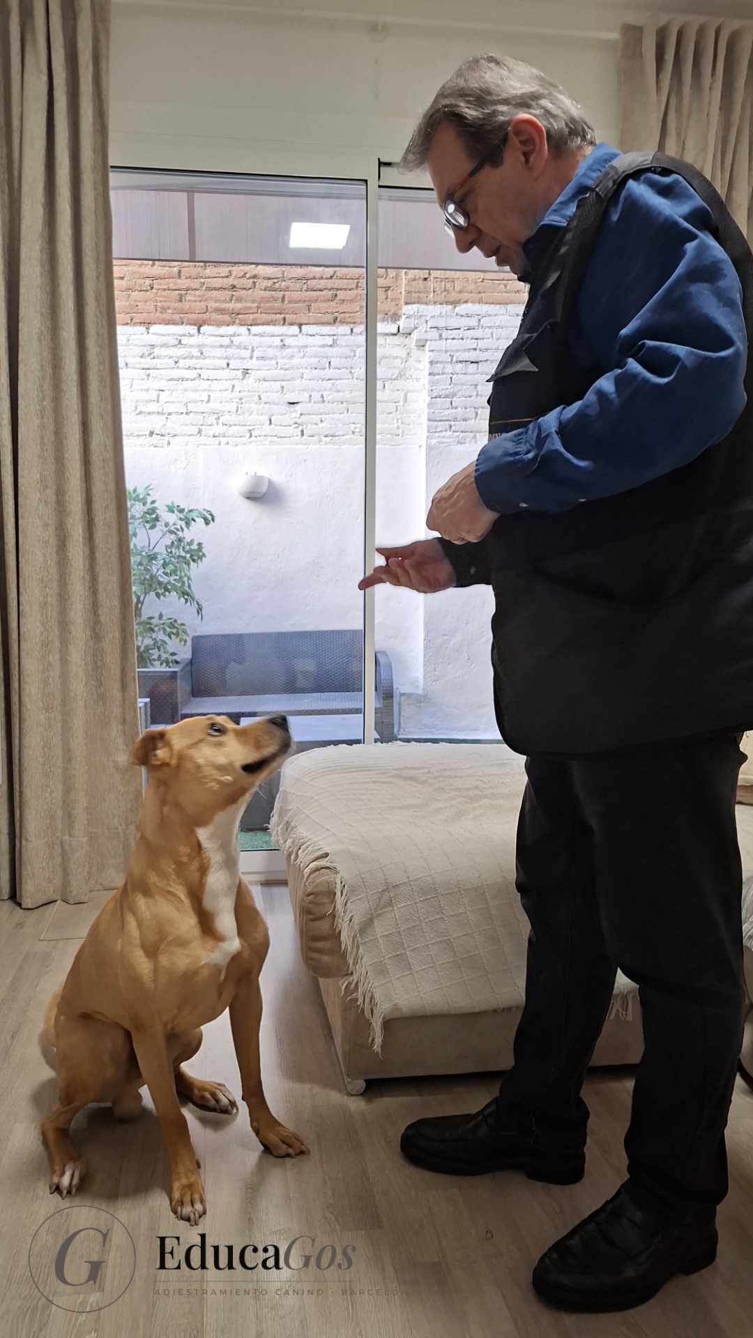 Adiestrador canino enseñando la orden 'sentado' a un perro mestizo durante una clase a domicilio en Barcelona