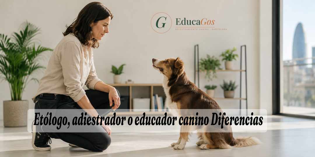 Diferencias entre etólogo, adiestrador o educador canino Clave para elegir bien