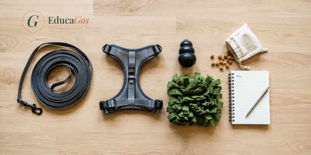 Materiales recomendados para el adiestramiento canino positivo, collar o arnés en H, correa larga, premios y juguetes. Materiales recomendados para el adiestramiento canino positivo, collar o arnés en H, correa larga, premios y juguetes.