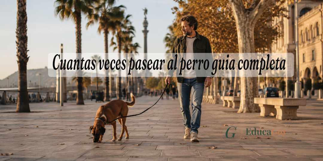 Dueño paseando a su perro por Barcelona con correa suelta, ilustrando la frecuencia ideal de paseos diarios