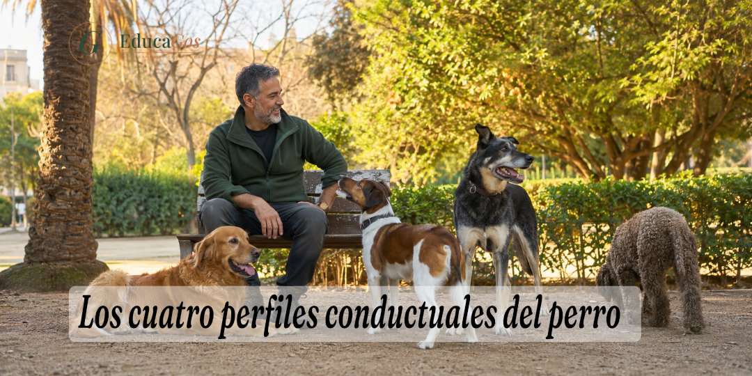 Los cuatro perfiles conductuales del perro, ansioso, impulsivo, reactivo y bloqueado
