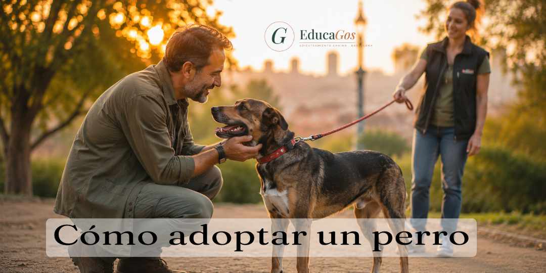 Cómo adoptar un perro, requisitos y pasos para hacerlo bien, hombre adoptando un perro en Barcelona, adiestrador de EducaGos.