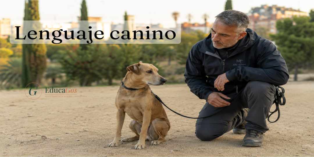 Lenguaje canino, guía completa de EducaGos sobre las señales del perro