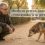 Miedo en perros, causas, señales y cómo ayudar a tu perro a superarlo