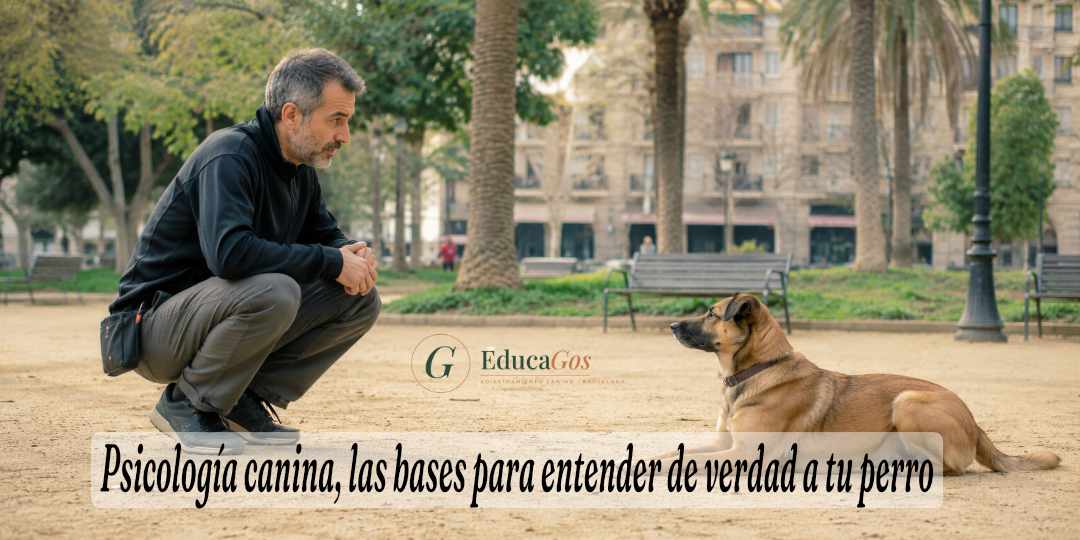 Psicología canina, las bases para entender de verdad a tu perro