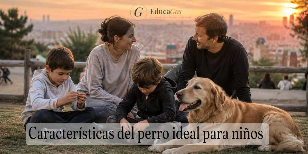 Características del perro para niños, guía completa para elegir bien y convivir en familia