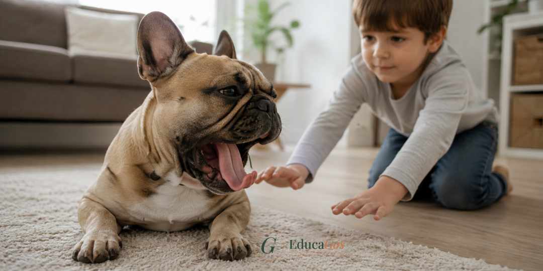 Perro mostrando una señal de calma, un bostezo, mientras un niño se acerca despacio Sección, Seguridad en la convivencia, lo que dice la evidencia sobre perros y niños Perro mostrando una señal de calma, un bostezo, mientras un niño se acerca despacio Sección, Seguridad en la convivencia, lo que dice la evidencia sobre perros y niños
