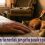 Mi perro me ha mordido, por qué ha pasado y qué hacer ahora