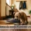 Problemas de comportamiento en perros, cómo prevenirlos antes de que aparezcan