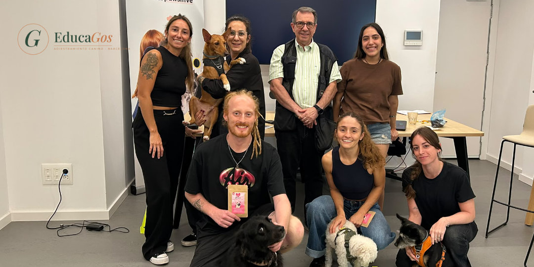 Grupo de participantes con sus perros al terminar el taller de estimulación cognitiva en una oficina de Barcelona